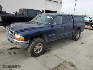 2002 Dodge Dakota SLT with VIN 1B7HG48N32S720700, listed as a Copart auction lot 80234494 with 207,035 mi miles and Salvage Title. Bid and sale history available at carsss.com. Image 1.