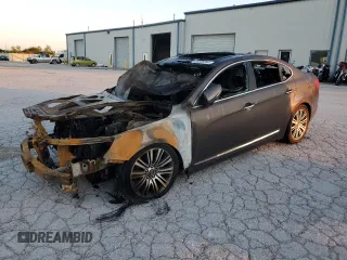 2014 Kia Cadenza Premium with VIN KNALN4D72E5124243, listed as a Copart auction lot 65836794 with 0 mi miles and Non Repairable. Bid and sale history available at carsss.com. Image 1.