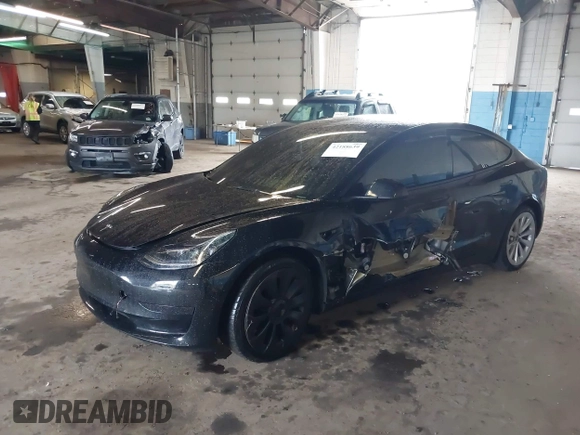 2023 Tesla Model 3 with VIN 5YJ3E1EA5PF396413, listed as a IAAI auction lot 42188639 with 57,717 mi miles and . Bid and sale history available at DreamBid. Image 2.