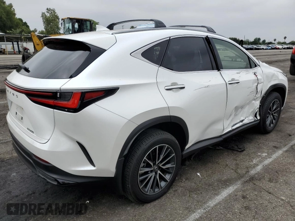2023 Lexus NX 250 with VIN JTJADCAZ5P5011769, listed as a Copart auction lot 59917725 with 21,887 mi miles and Salvage title. Bid and sale history available at DreamBid. Image 3.