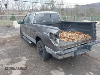 2011 Ford F-150 XL with VIN 1FTFX1EF0BFC70449, listed as a IAAI auction lot 41965403 with Not provided miles and . Bid and sale history available at DreamBid. Image 3.