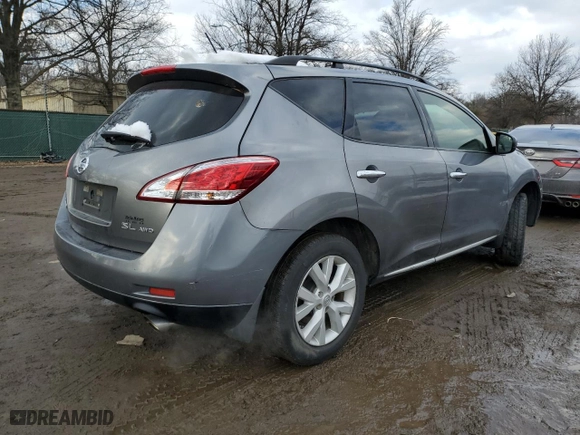 2013 Nissan Murano SL with VIN JN8AZ1MW2DW304310, listed as a Copart auction lot 42087685 with 134,251 mi miles and Salvage Title. Bid and sale history available at carsss.com. Image 6.