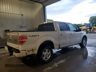 2013 Ford F-150 XL with VIN 1FTFW1EF0DFC12301, listed as a Copart auction lot 61483485 with 297,038 mi miles and Clean title. Bid and sale history available at DreamBid. Image 3.