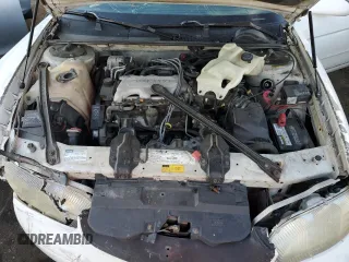 1996 Chevrolet Monte Carlo LS с VIN 2G1WW12M4T9246938, выставлен на аукционе Copart как лот 78477774 с пробегом 289 714 миль миль и Списание • Salvage title. История ставок и продаж доступна на DreamBid. Изображение 12.