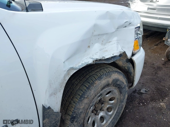 2011 Chevrolet Silverado 1500 LS with VIN 3GCPKREA1BG124050, listed as a IAAI auction lot 41656687 with 200,319 mi miles. Bid and sale history available at carsss.com. Image 20.