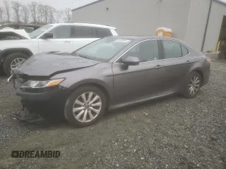 2020 Toyota Camry LE with VIN 4T1C11AK9LU923604, listed as a Copart auction lot 49760925 with 172,995 mi miles and Salvage Title. Bid and sale history available at DreamBid. Image 1.