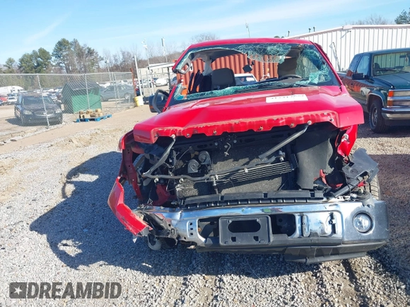 2010 Ford F-150 XL with VIN 1FTEX1C86AFA50201, listed as a IAAI auction lot 41241755 with 1 mi miles. Bid and sale history available at carsss.com. Image 13.