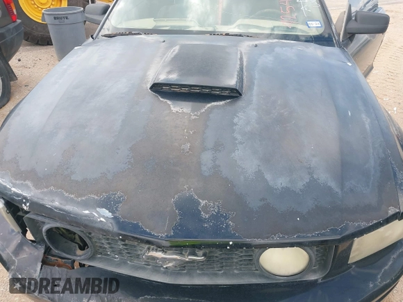 2007 Ford Mustang GT Deluxe z VIN 1ZVHT85H575287613, wystawiony jako IAAI lot #42543302 z przebiegiem Nie podano mil oraz . Historia ofert i sprzedaży dostępna na DreamBid. Obrazek 10.