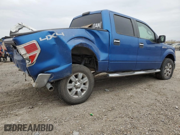 2009 Ford F-150 XL with VIN 1FTRW14839KB36488, listed as a Copart auction lot 44341515 with 243,748 mi miles and Salvage Title. Bid and sale history available at DreamBid. Image 3.