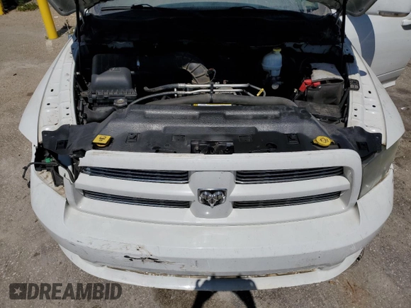 2010 Dodge 1500 SLT with VIN 1D7RV1CT0AS206922, listed as a Copart auction lot 53060375 with Not Provided miles and Salvage Title. Bid and sale history available at DreamBid. Image 11.