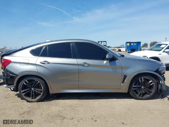 2019 BMW X6 M with VIN 5YMKW8C5XK0Y74895, listed as a IAAI auction lot 41847396 with NaN miles. Bid and sale history available at carsss.com. Image 14.