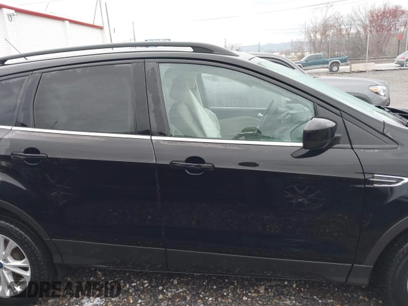 2017 Ford Escape SE with VIN 1FMCU0GD0HUD45409, listed as a IAAI auction lot 41859352 with 52,984 mi miles. Bid and sale history available at carsss.com. Image 13.