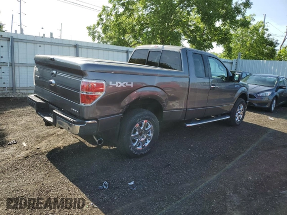 2014 Ford F-150 XL with VIN 1FTFX1EFXEFB09076, listed as a Copart auction lot 62085865 with 113,078 mi miles and Clean title. Bid and sale history available at DreamBid. Image 3.