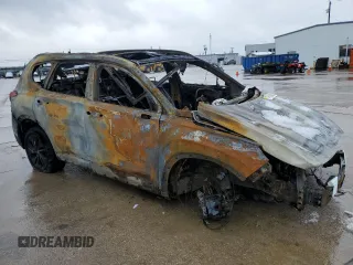 2019 Hyundai Santa Fe Ultimate with VIN 5NMS5CAA5KH076688, listed as a Copart auction lot 87656435 with 0 mi miles and Non Repairable. Bid and sale history available at carsss.com. Image 4.