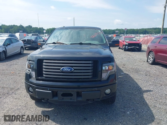 2011 Ford F-150 XLT with VIN 1FTFW1ET7BFB36188, listed as a IAAI auction lot 42669037 with Not provided miles and . Bid and sale history available at DreamBid. Image 12.