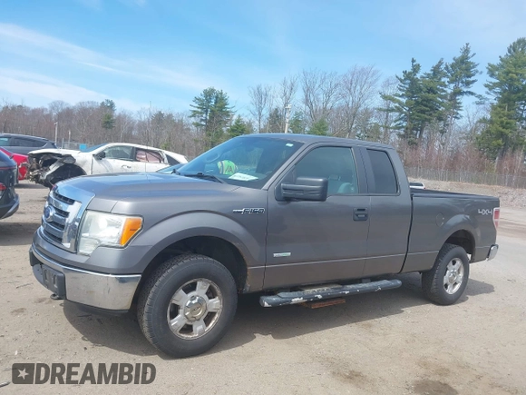 2011 Ford F-150 XL with VIN 1FTFX1ET5BFB49485, listed as a IAAI auction lot 42074270 with 206,090 mi miles. Bid and sale history available at carsss.com. Image 12.