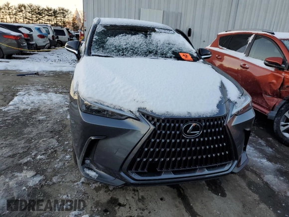 2024 Lexus NX with VIN 2T2AGCEZ9RC057644, listed as a Copart auction lot 89156795 with 0 mi miles and Salvage Title. Bid and sale history available at carsss.com. Image 5.