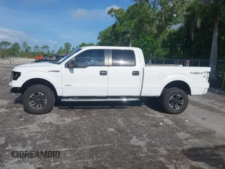 2012 Ford F-150 XL with VIN 1FTFW1ET4CFB34867, listed as a IAAI auction lot 42444197 with 192,234 mi miles and . Bid and sale history available at DreamBid. Image 15.