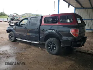 2013 Ford F-150 XL with VIN 1FTFW1EF8DFA21791, listed as a Copart auction lot 61963215 with 128,161 mi miles and Salvage title. Bid and sale history available at DreamBid. Image 2.