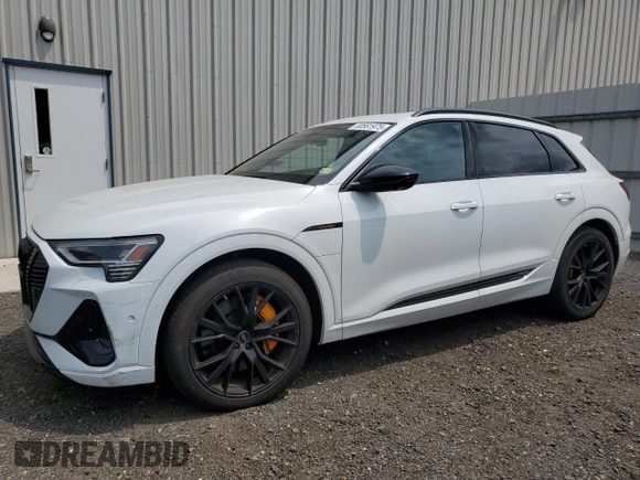 2022 Audi e-tron Chronos with VIN WA1VABGE2NB024953, listed as a Copart auction lot 60561975 with 30,503 mi miles and Salvage title. Bid and sale history available at DreamBid. Image 1.
