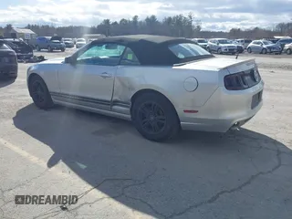 2013 Ford Mustang V6 z VIN 1ZVBP8EMXD5242038, wystawiony jako IAAI lot #41744352 z przebiegiem 167 227 mil mil oraz . Historia ofert i sprzedaży dostępna na DreamBid. Obrazek 3.