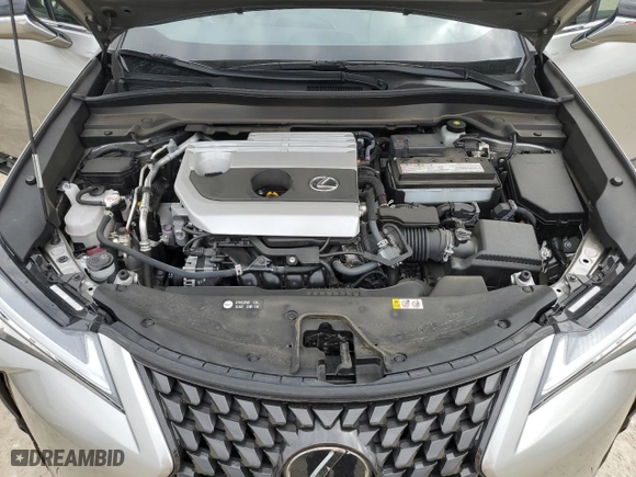2022 Lexus UX with VIN JTHP3JBH8N2050069, listed as a Copart auction lot 45376875 with 18,801 mi miles and Salvage Title. Bid and sale history available at carsss.com. Image 12.