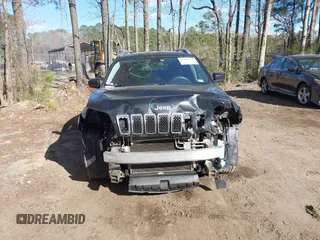 2019 Jeep Cherokee Latitude with VIN 1C4PJLCB6KD490529, listed as a IAAI auction lot 41890940 with 113,147 mi miles. Bid and sale history available at carsss.com. Image 12.
