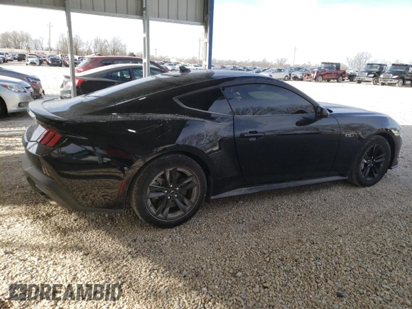 2024 Ford Mustang GT with VIN 1FA6P8CF4R5431094, listed as a Copart auction lot 49506365 with 8,141 mi miles and Salvage title. Bid and sale history available at DreamBid. Image 3.