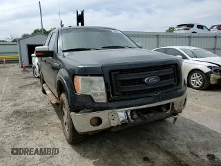 2009 Ford F-150 XL with VIN 1FTPW14V69FB18458, listed as a Copart auction lot 55684195 with 338,034 mi miles and Salvage title. Bid and sale history available at DreamBid. Image 13.