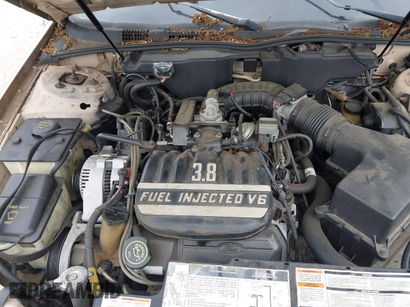 1993 Ford Taurus with VIN 1FALP5343PA153390, listed as a IAAI auction lot 42559003 with 64,617 mi miles and . Bid and sale history available at DreamBid. Image 10.