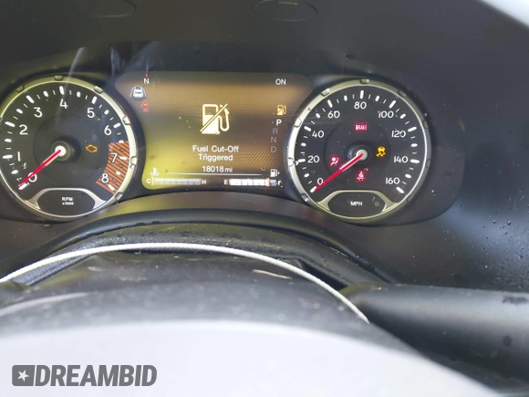 2022 Jeep Renegade Trailhawk with VIN ZACNJDC18NPN60863, listed as a IAAI auction lot 41610300 with 18,018 mi miles and . Bid and sale history available at DreamBid. Image 7.
