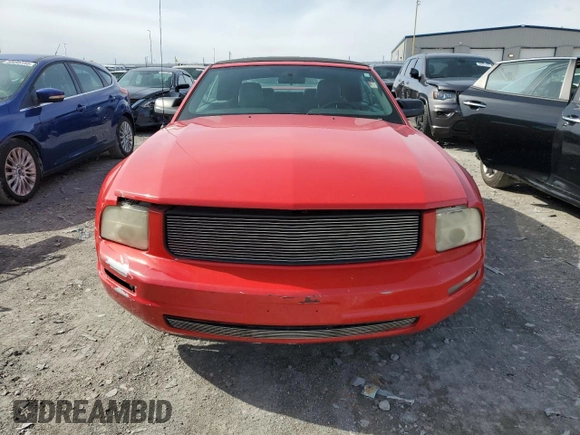 2006 Ford Mustang Standard with VIN 1ZVFT84N465151325, listed as a Copart auction lot 50571645 with Not Provided miles and Clean Title. Bid and sale history available at carsss.com. Image 5.