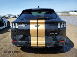 2023 Ford Mustang Mach-E GT with VIN 3FMTK4SE8PMA75216, listed as a Copart auction lot 50100965 with Not Provided miles and Clean Title. Bid and sale history available at DreamBid. Image 6.