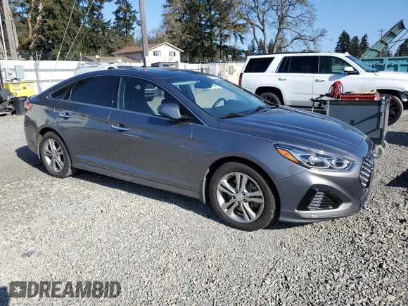2019 Hyundai Sonata SEL with VIN 5NPE34AF5KH808518, listed as a Copart auction lot 53586045 with 91,307 mi miles and Salvage Title. Bid and sale history available at DreamBid. Image 4.