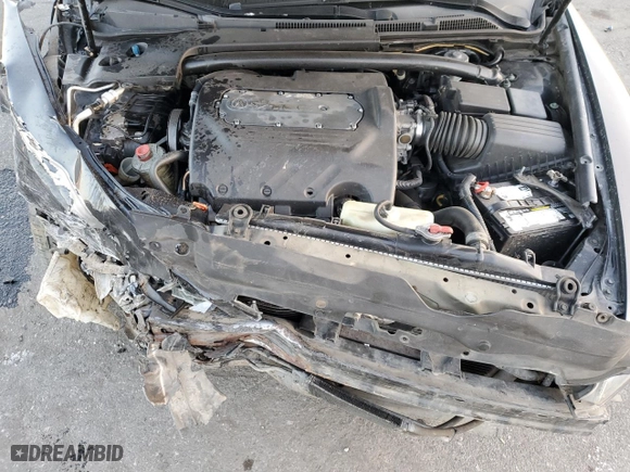 2006 Acura TL with VIN 19UUA66236A058490, listed as a Copart auction lot 43248795 with NaN miles and Salvage Title. Bid and sale history available at carsss.com. Image 12.