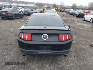 2012 Ford Mustang Premium with VIN 1ZVBP8AM7C5249954, listed as a IAAI auction lot 41881033 with 119,887 mi miles and . Bid and sale history available at DreamBid. Image 17.