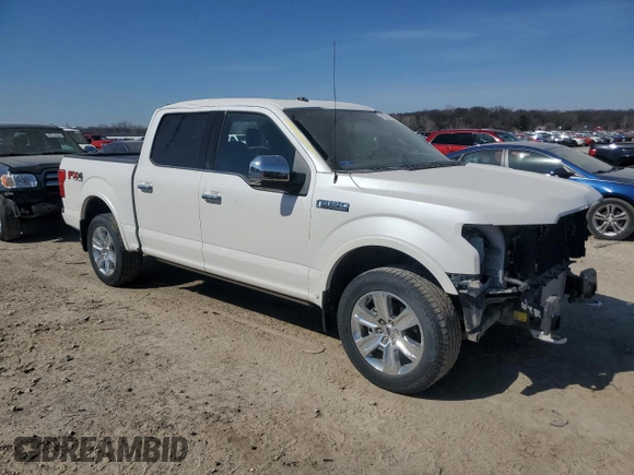 2019 Ford F-150 XL with VIN 1FTEW1E48KFD53334, listed as a Copart auction lot 48303595 with 40,208 mi miles and Salvage Title. Bid and sale history available at carsss.com. Image 4.