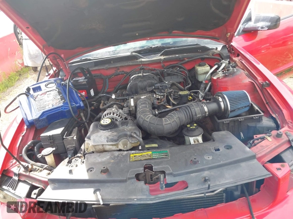 2007 Ford Mustang Deluxe with VIN 1ZVFT80N875206771, listed as a IAAI auction lot 42672678 with 163,045 mi miles and . Bid and sale history available at DreamBid. Image 10.