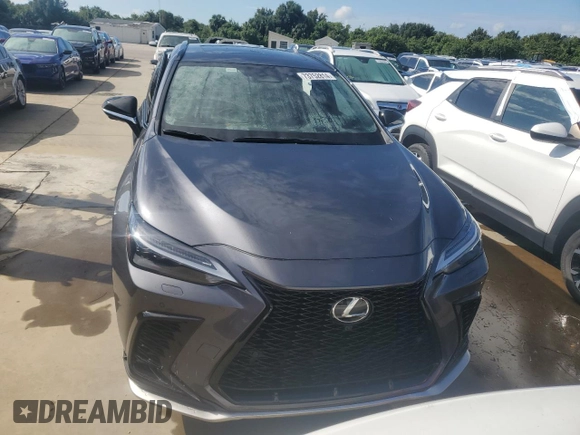 2023 Lexus NX with VIN JTJKKCFZ3P2017316, listed as a Copart auction lot 73752814 with 13,125 mi miles and Salvage Title. Bid and sale history available at carsss.com. Image 5.