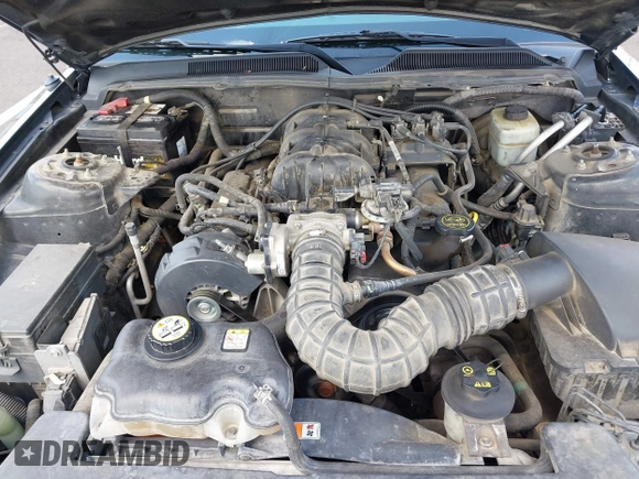 2005 Ford Mustang Deluxe with VIN 1ZVFT80NX55128751, listed as a IAAI auction lot 42739520 with 180,913 mi miles and . Bid and sale history available at DreamBid. Image 10.