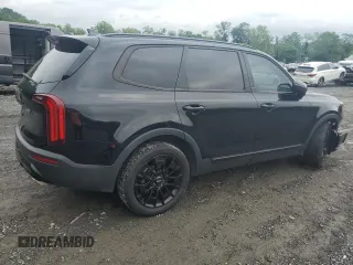2022 Kia Telluride EX with VIN 5XYP3DHC5NG207139, listed as a Copart auction lot 60104755 with 101,632 mi miles and Salvage title. Bid and sale history available at DreamBid. Image 3.