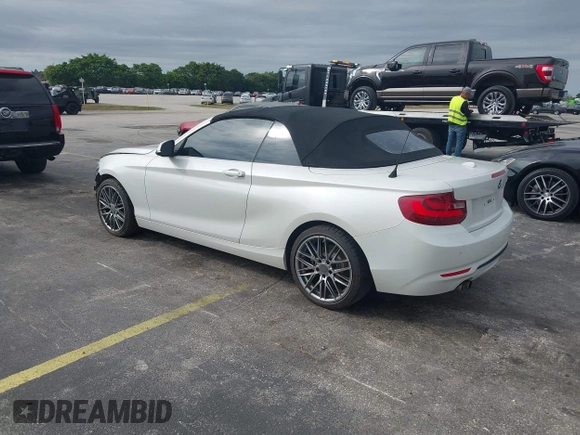 2017 BMW 2 Series 230i with VIN WBA2K9C38HV950695, listed as a IAAI auction lot 41610243 with 102,191 mi miles and . Bid and sale history available at DreamBid. Image 3.