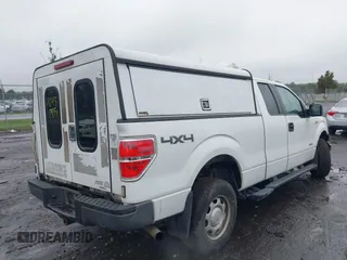 2013 Ford F-150 XL with VIN 1FTFX1ET8DKE95332, listed as a IAAI auction lot 40480905 with 243,758 mi miles and . Bid and sale history available at DreamBid. Image 4.
