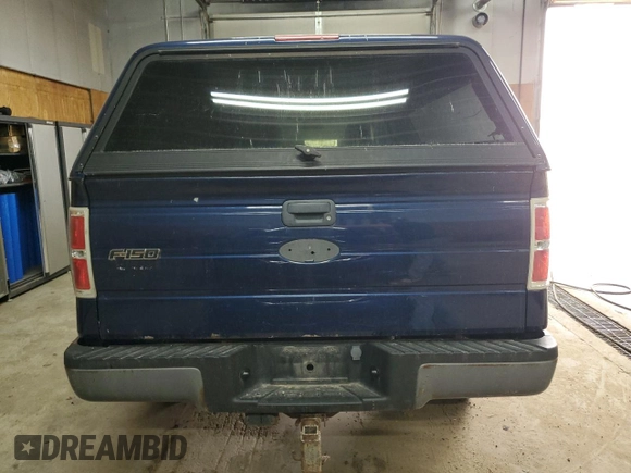 2009 Ford F-150 with VIN 1FTPF14V49KB59663, listed as a Copart auction lot 60254625 with 34,342 mi miles and Clean title. Bid and sale history available at DreamBid. Image 6.