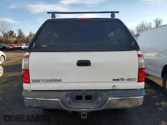 2005 Toyota Tundra SR5 with VIN 5TBDT44165S474373, listed as a Copart auction lot 45667235 with 315,341 mi miles and Salvage Title. Bid and sale history available at DreamBid. Image 6.