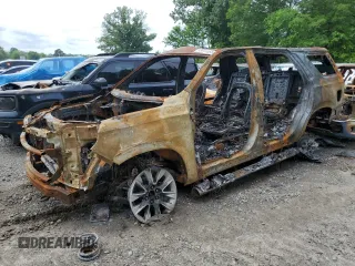 2023 Chevrolet Tahoe Z71 with VIN 1GNSKPKD5PR254604, listed as a Copart auction lot 53811565 with Not provided miles and Non repairable. Bid and sale history available at DreamBid. Image 1.
