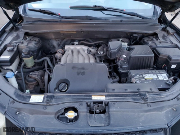 2009 Hyundai Santa Fe GLS with VIN 5NMSG13D29H275200, listed as a Copart auction lot 49262185 with 173,134 mi miles and Salvage Title. Bid and sale history available at carsss.com. Image 12.