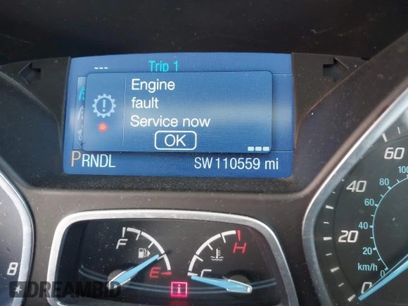 2014 Ford Focus SE with VIN 1FADP3F21EL347114, listed as a IAAI auction lot 41984235 with 110,559 mi miles and . Bid and sale history available at carsss.com. Image 16.