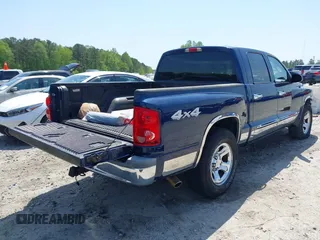 2005 Dodge Dakota SLT with VIN 1D7HW48N05S113487, listed as a IAAI auction lot 42029813 with 229,025 mi miles. Bid and sale history available at carsss.com. Image 4.