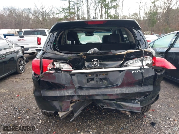 2013 Acura RDX with VIN 5J8TB3H33DL008736, listed as a IAAI auction lot 41195260 with 202,869 mi miles. Bid and sale history available at carsss.com. Image 16.